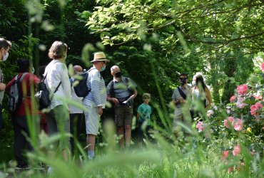 RANDONNÉE MILLE PATTES DANS LA VILLE ET LE PARC - 12 JUIN 2021